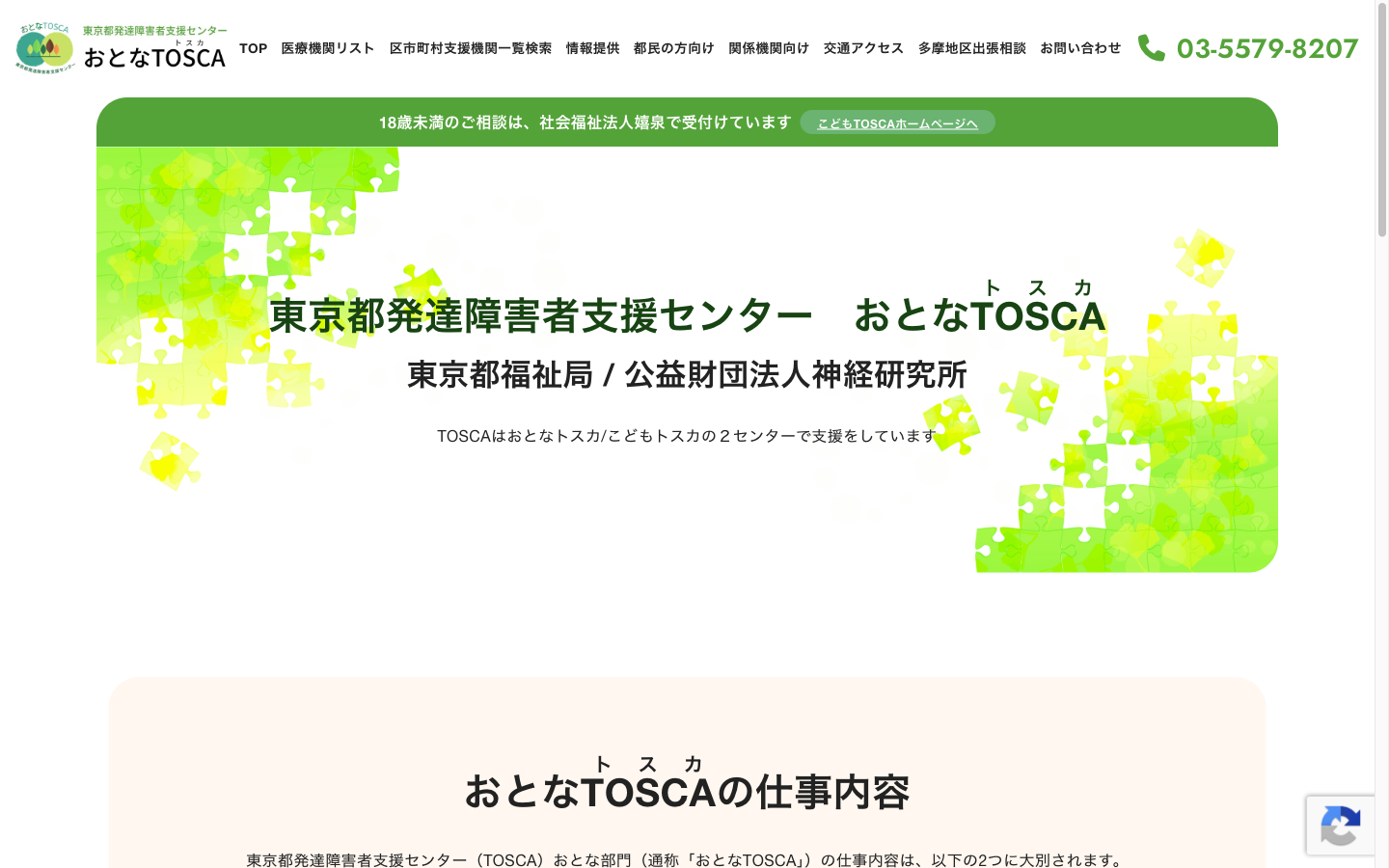 ホームページ作成事例：東京都発達障害者支援センター　おとなTOSCA